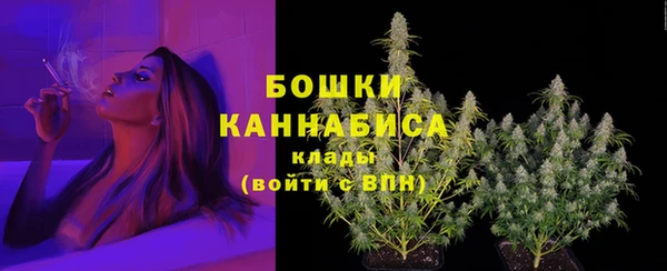 бошки Краснослободск