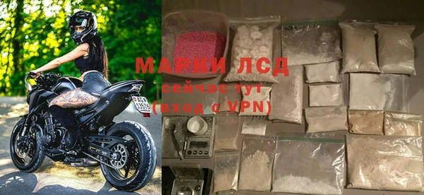 эйфоретик Корсаков