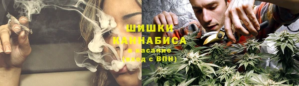 бошки Краснослободск